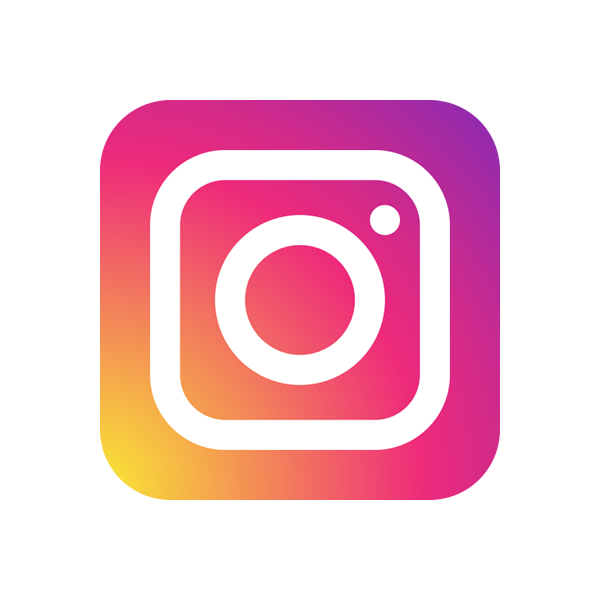 Instagram API Logo
